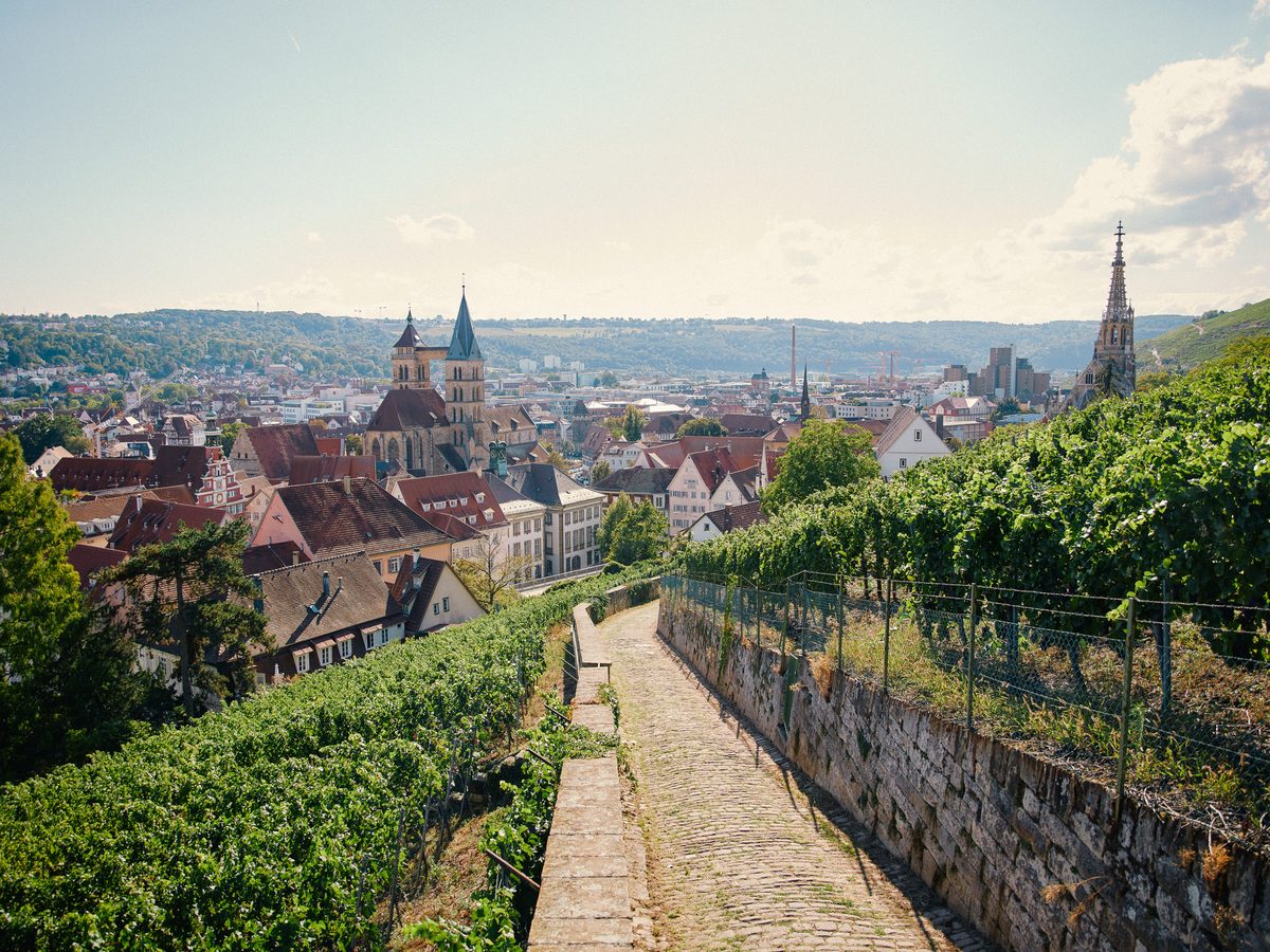 Weinwanderung Esslingen: Weinberge über der Esslinger Altstadt am Neckar